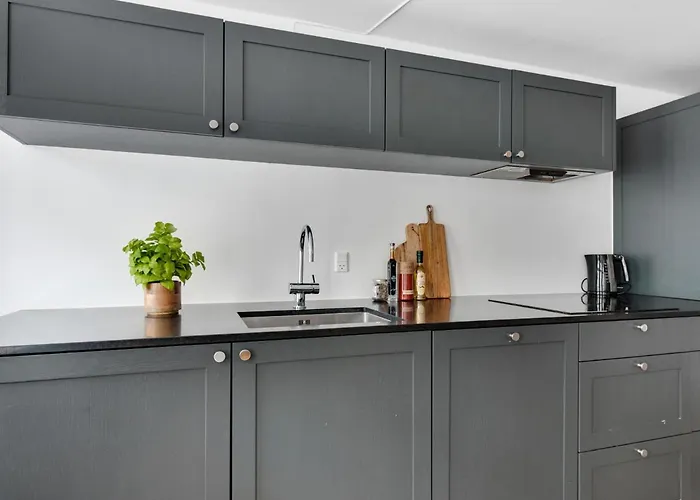 Regent 4- Cute 1-bdr In Centre Of Apartment Copenhagen